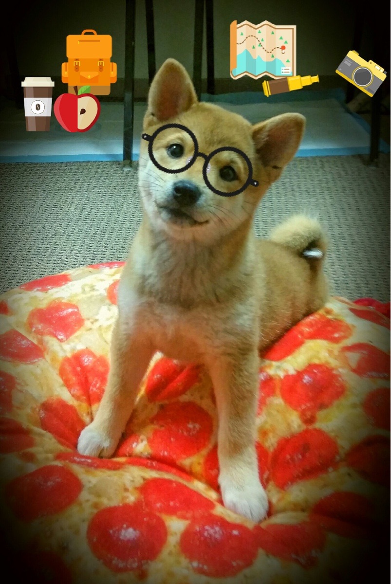 雷霆新纪元,福克斯关键绽放,西部新王宣告崛起