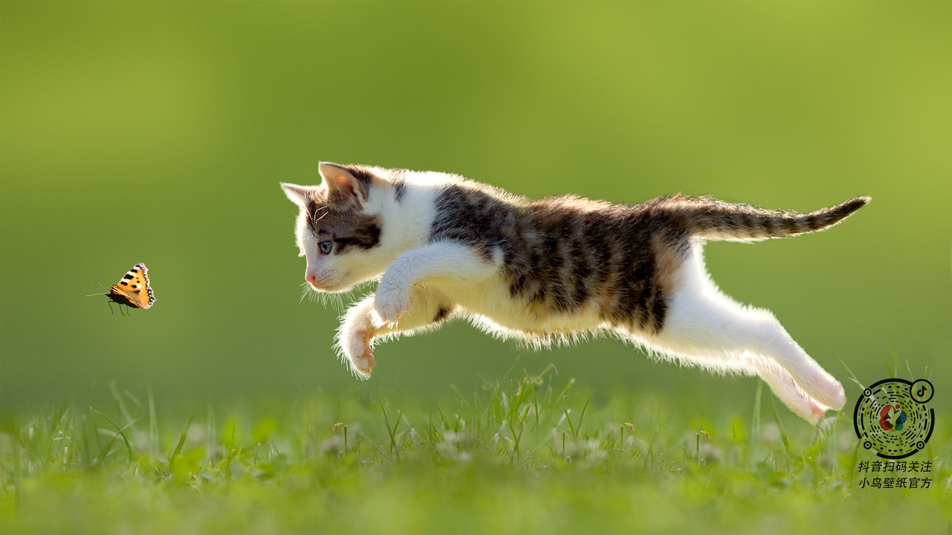 灰熊领地,国王的狩猎,戈贝尔用一场数据爆炸重新定义防守的艺术