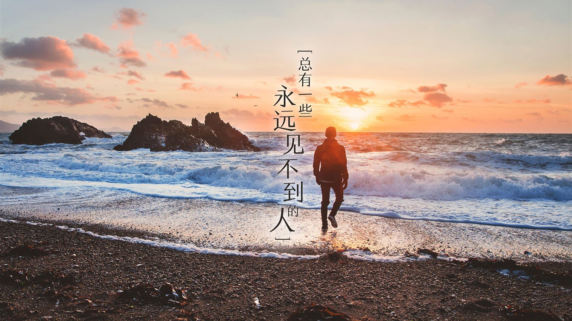 （三选一，供你参考）